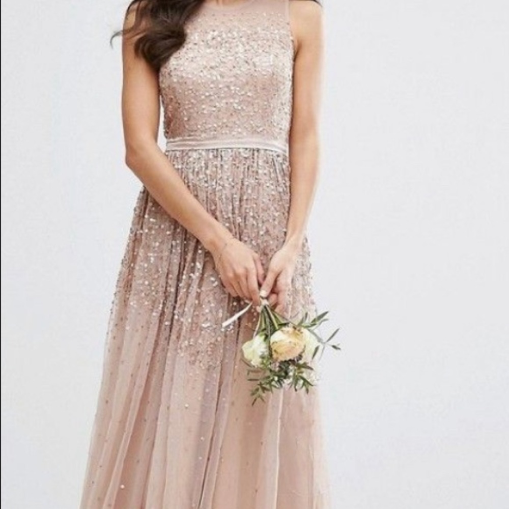 Amelia Rose Sequin Embellished Dress